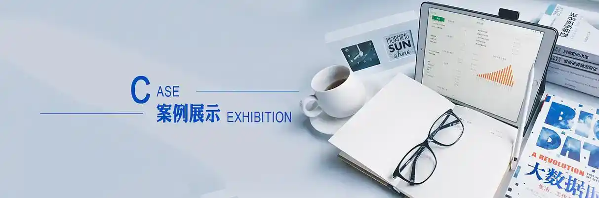 省直辖行政单位软件开发